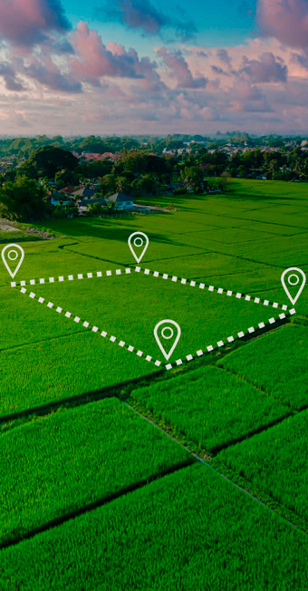 Подготовка Акта согласования границ земельного участка